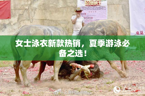 女士泳衣新款热销，夏季游泳必备之选！