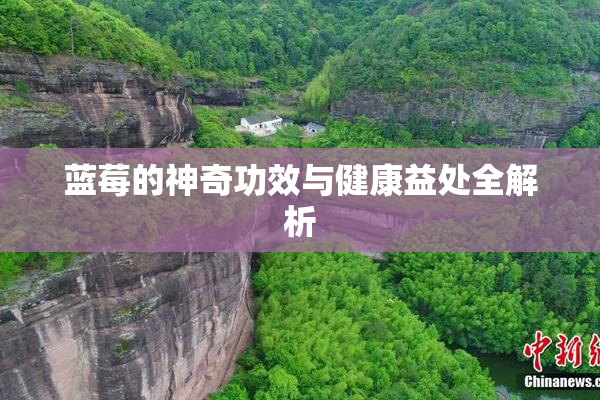 蓝莓的神奇功效与健康益处全解析
