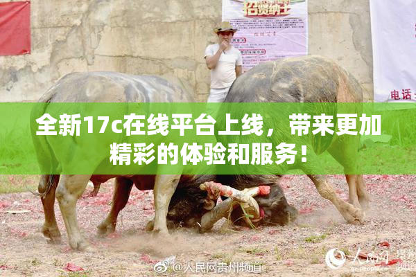 全新17c在线平台上线，带来更加精彩的体验和服务！