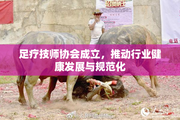 足疗技师协会成立，推动行业健康发展与规范化