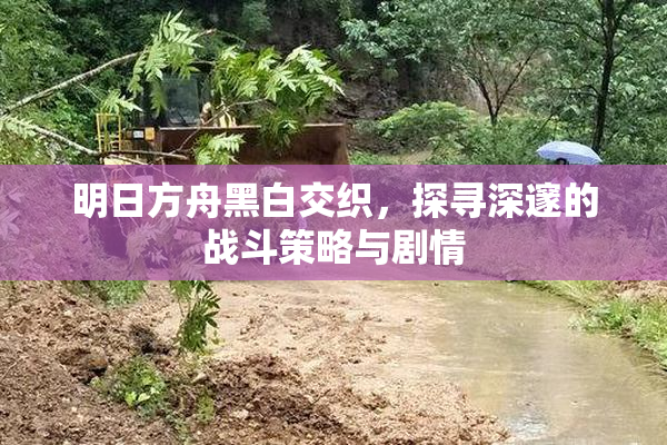 明日方舟黑白交织，探寻深邃的战斗策略与剧情