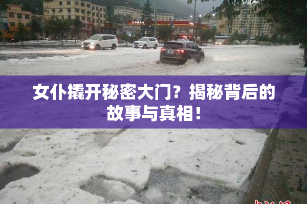 女仆撬开秘密大门？揭秘背后的故事与真相！