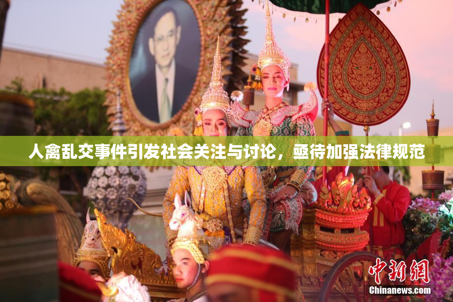 人禽乱交事件引发社会关注与讨论，亟待加强法律规范