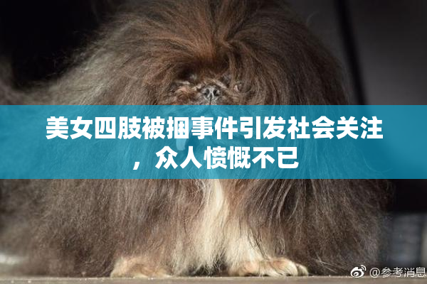 美女四肢被捆事件引发社会关注，众人愤慨不已