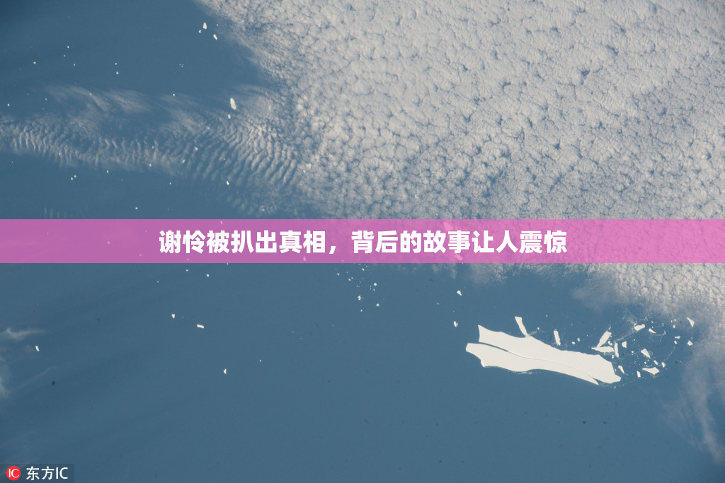 谢怜被扒出真相，背后的故事让人震惊