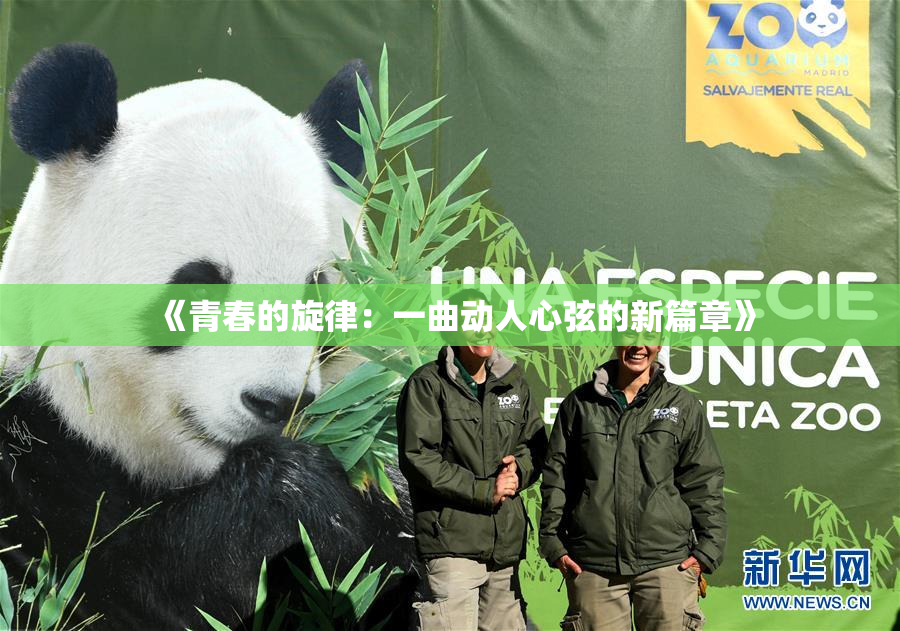 《青春的旋律：一曲动人心弦的新篇章》