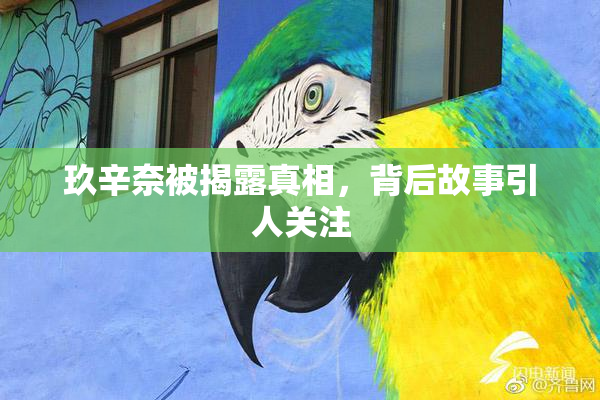 玖辛奈被揭露真相，背后故事引人关注
