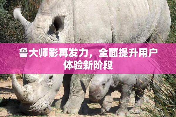 鲁大师影再发力，全面提升用户体验新阶段