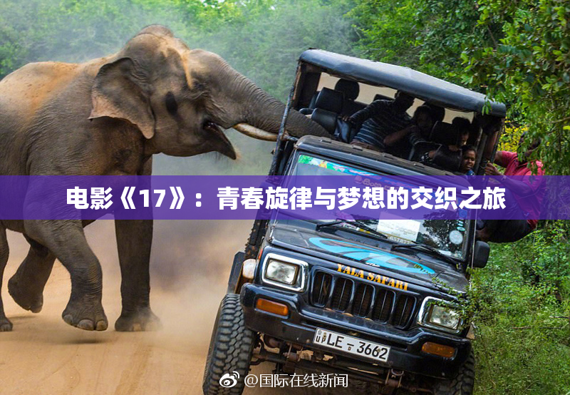 电影《17》：青春旋律与梦想的交织之旅