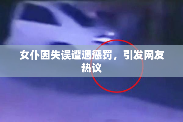 女仆因失误遭遇惩罚，引发网友热议
