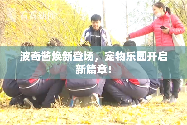 波奇酱焕新登场，宠物乐园开启新篇章！