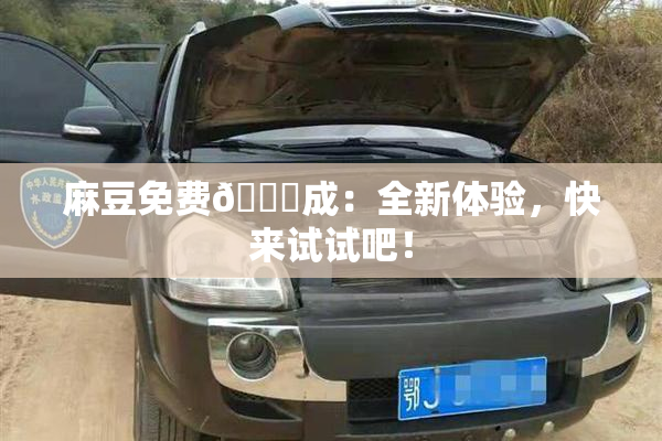 麻豆免费🔞成：全新体验，快来试试吧！