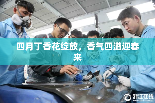 四月丁香花绽放，香气四溢迎春来