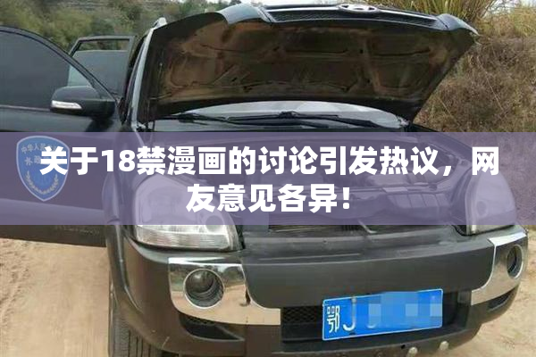 关于18禁漫画的讨论引发热议，网友意见各异！