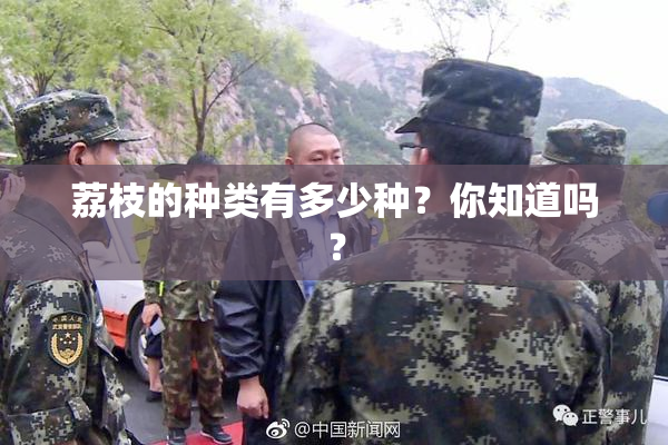 荔枝的种类有多少种？你知道吗？