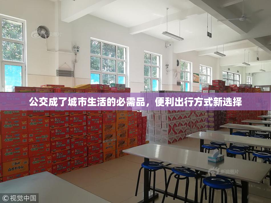 公交成了城市生活的必需品，便利出行方式新选择