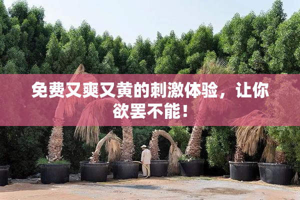 免费又爽又黄的刺激体验，让你欲罢不能！