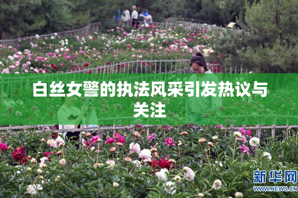 白丝女警的执法风采引发热议与关注