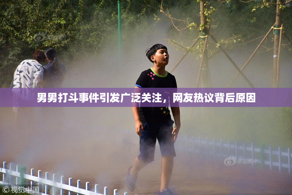 男男打斗事件引发广泛关注，网友热议背后原因
