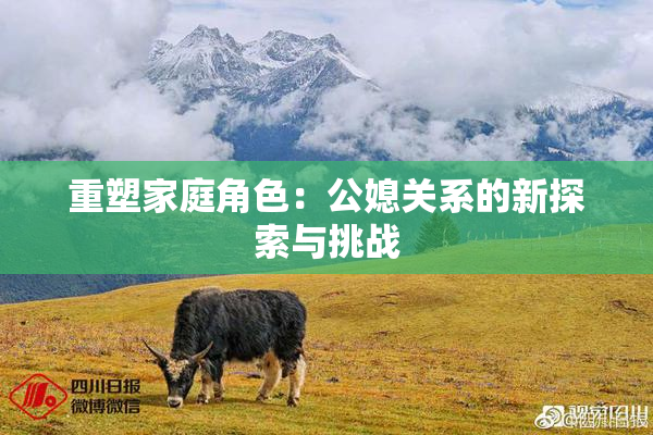 重塑家庭角色：公媳关系的新探索与挑战