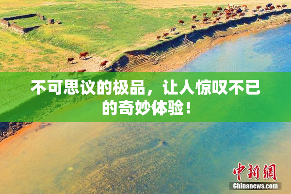 不可思议的极品，让人惊叹不已的奇妙体验！