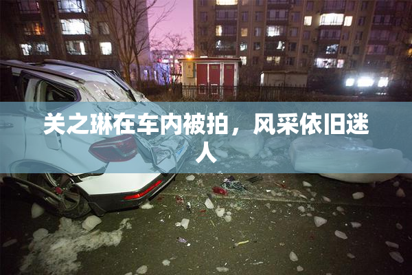 关之琳在车内被拍，风采依旧迷人