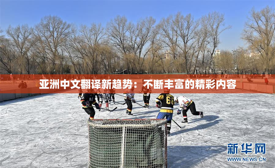 亚洲中文翻译新趋势：不断丰富的精彩内容
