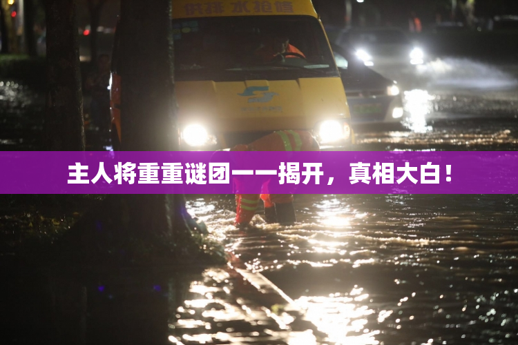 主人将重重谜团一一揭开，真相大白！
