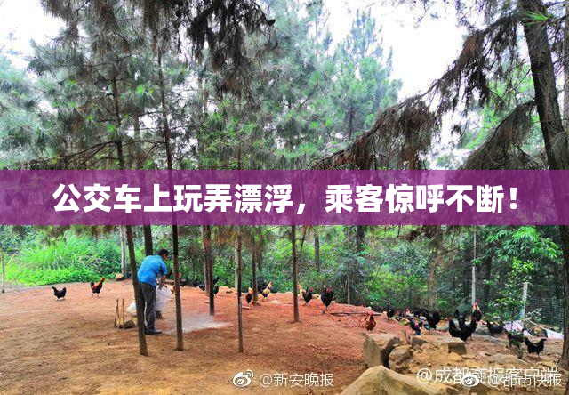 公交车上玩弄漂浮，乘客惊呼不断！