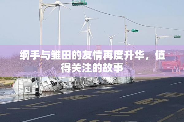 纲手与雏田的友情再度升华，值得关注的故事
