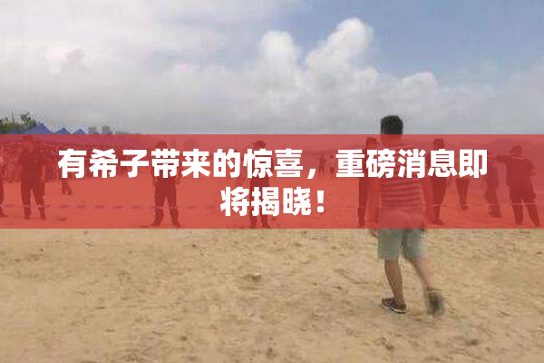 有希子带来的惊喜，重磅消息即将揭晓！