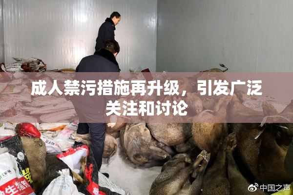 成人禁污措施再升级，引发广泛关注和讨论