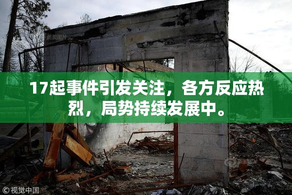 17起事件引发关注，各方反应热烈，局势持续发展中。