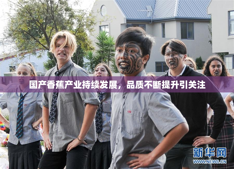 国产香蕉产业持续发展，品质不断提升引关注