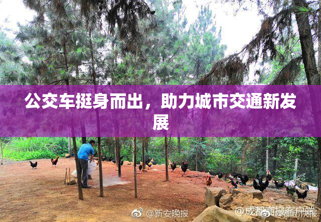 公交车挺身而出，助力城市交通新发展