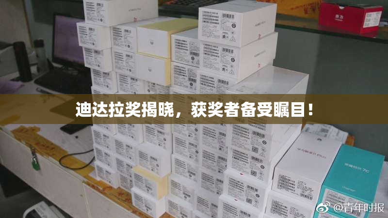 迪达拉奖揭晓，获奖者备受瞩目！