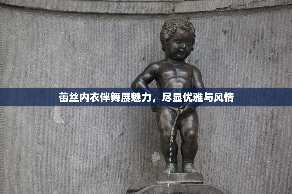 蕾丝内衣伴舞展魅力，尽显优雅与风情