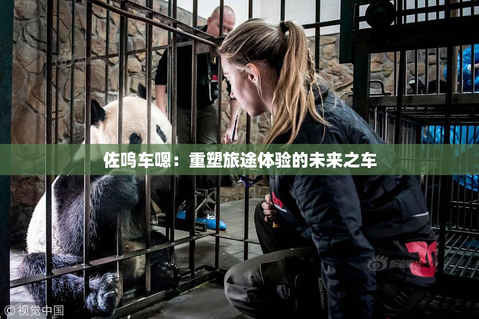 佐鸣车嗯：重塑旅途体验的未来之车