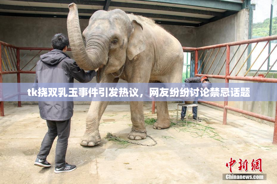 tk挠双乳玉事件引发热议，网友纷纷讨论禁忌话题