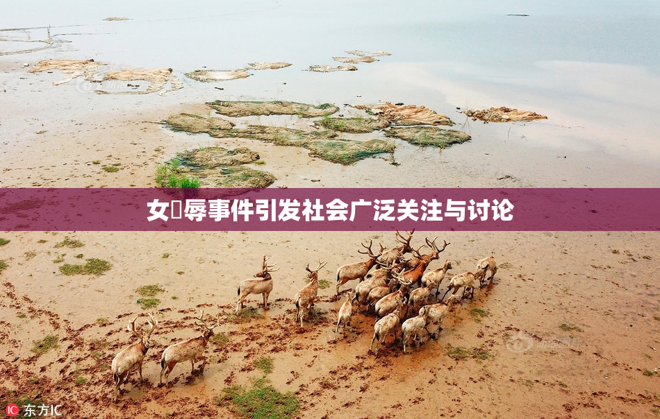 女婬辱事件引发社会广泛关注与讨论