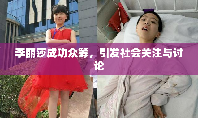 李丽莎成功众筹，引发社会关注与讨论