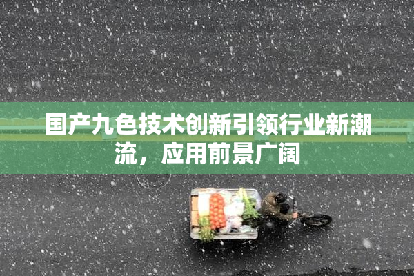 国产九色技术创新引领行业新潮流，应用前景广阔