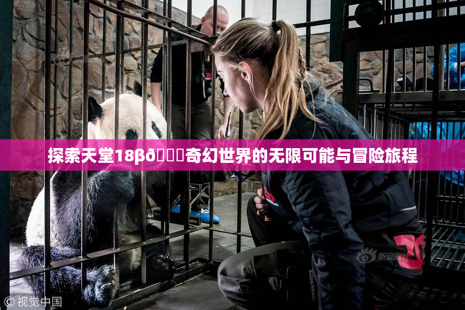 探索天堂18β🍆奇幻世界的无限可能与冒险旅程