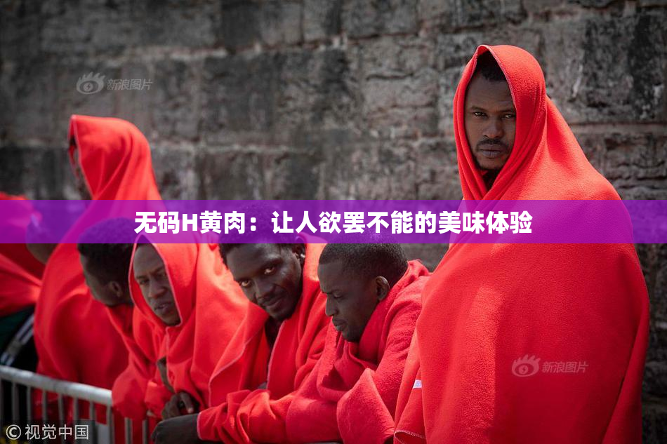 无码H黄肉：让人欲罢不能的美味体验