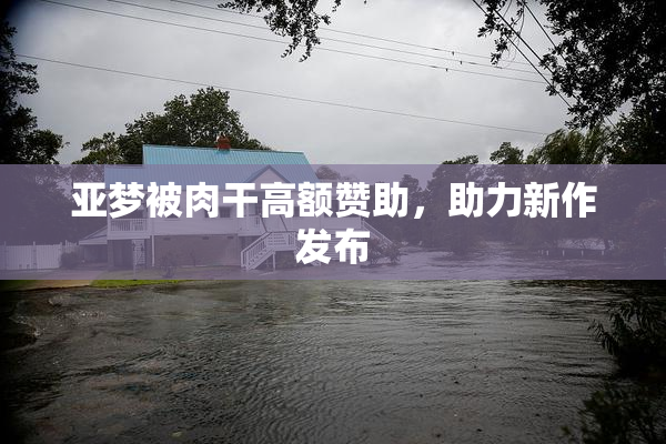 亚梦被肉干高额赞助，助力新作发布