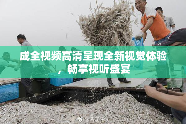 成全视频高清呈现全新视觉体验，畅享视听盛宴