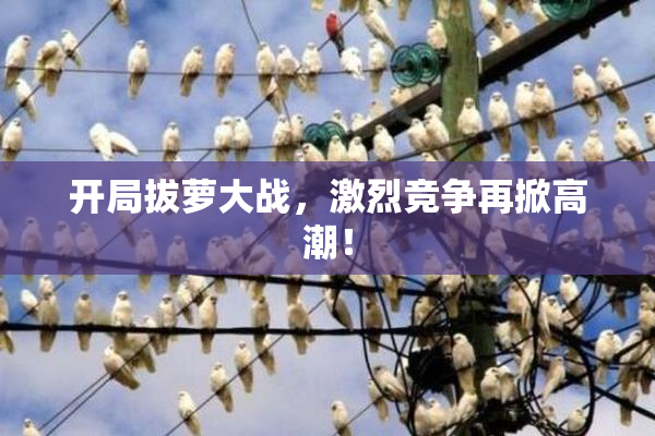 开局拔萝大战，激烈竞争再掀高潮！