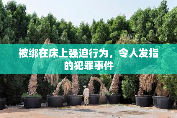 被绑在床上强迫行为，令人发指的犯罪事件