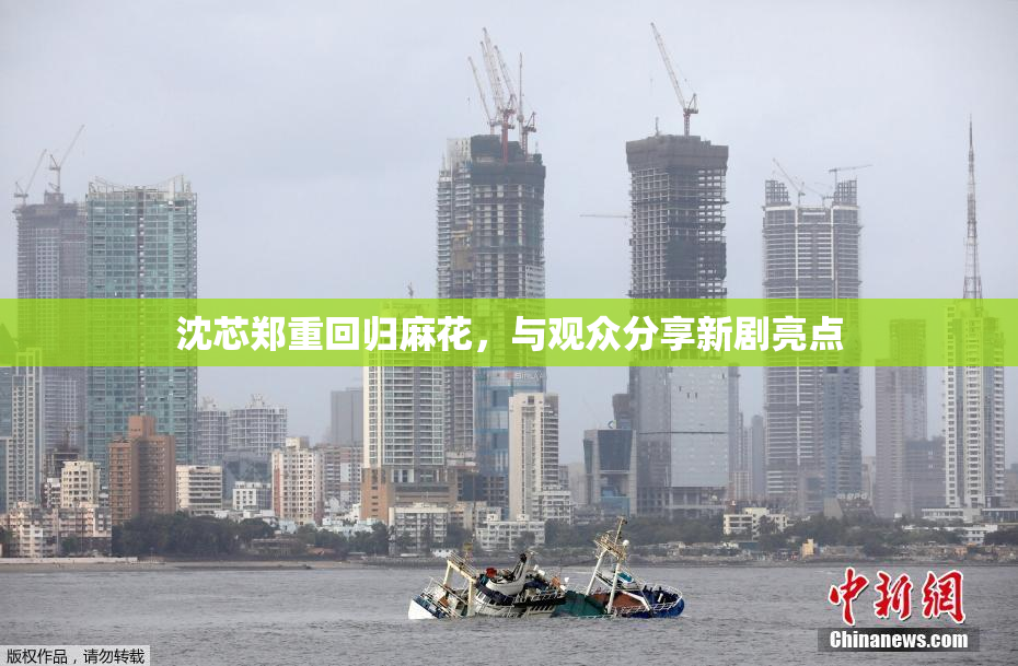 沈芯郑重回归麻花，与观众分享新剧亮点