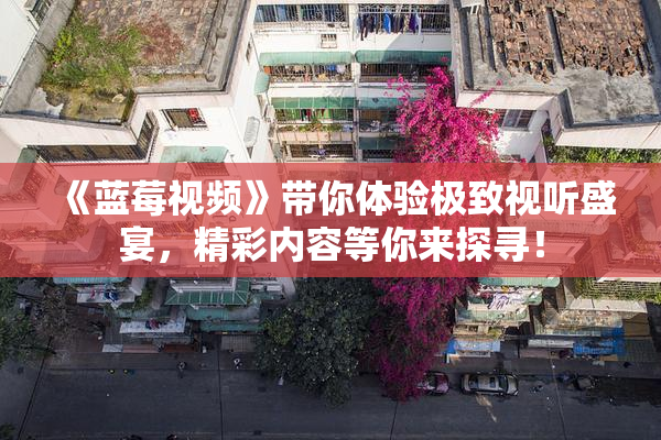 《蓝莓视频》带你体验极致视听盛宴，精彩内容等你来探寻！